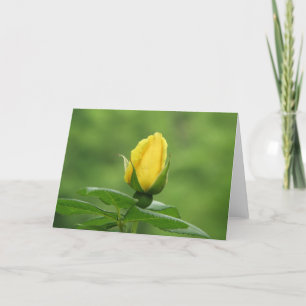 Tarjeta amarilla del capullo de rosa