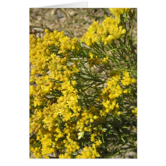 Tarjeta amarilla del Wildflower de la pradera (Frente)