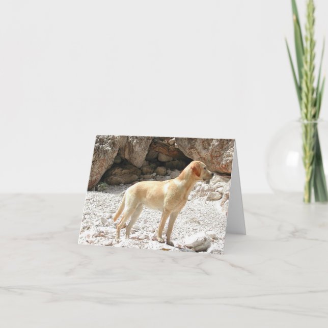 Tarjeta amarillo LR completo (Anverso)