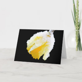 Tarjeta Amarillo Narciso Cubierto de Nieve Temprana Primav
