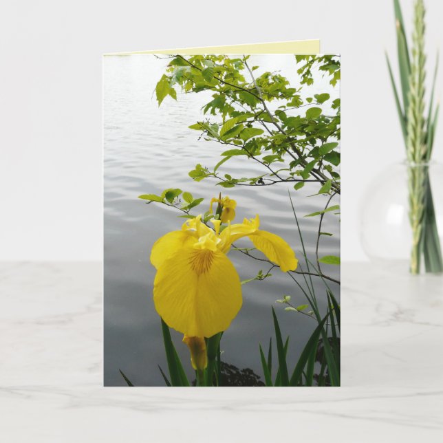 Tarjeta Amarillo salvaje (Anverso)