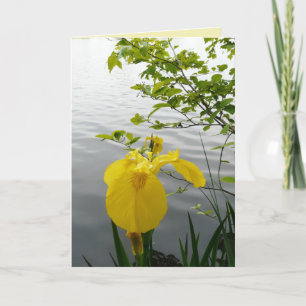 Tarjeta Amarillo salvaje