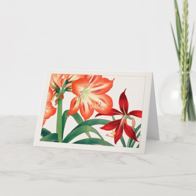 Tarjeta Amaryllis por Tanigami Konan (Anverso)