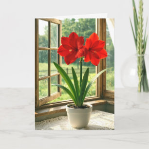 Tarjeta Amaryllis Roja Floreciendo en Cumpleaños