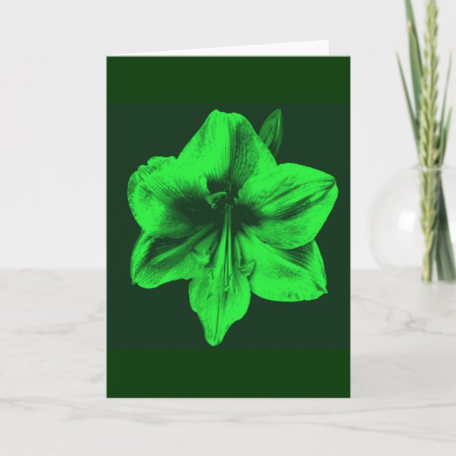 Tarjeta Amaryllis verde (Anverso)
