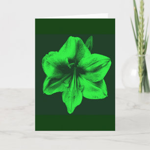Tarjeta Amaryllis verde