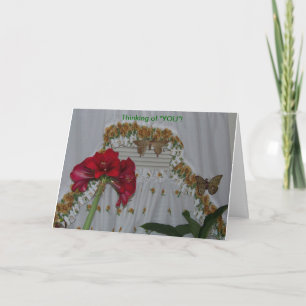 Tarjeta Amaryllis y mariposas, pensando en usted