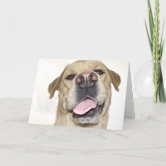 Tarjeta Ámele también - retrato torpe de Labrador