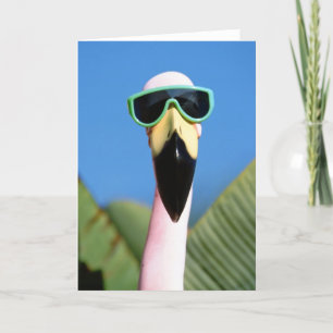 Tarjeta América del Norte, Estados Unidos, California, San