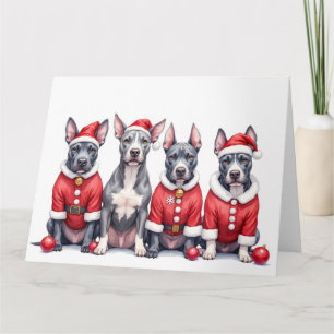 Tarjeta American Staffordshire Terrier vestido de Navidad