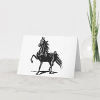 Americano Saddlebred