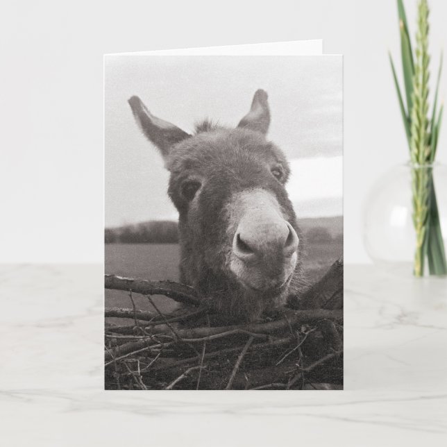 Tarjeta Amigable burro - Foto de época (Anverso)