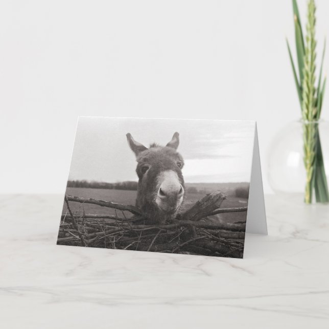 Tarjeta Amigable burro - Foto de época (Anverso)
