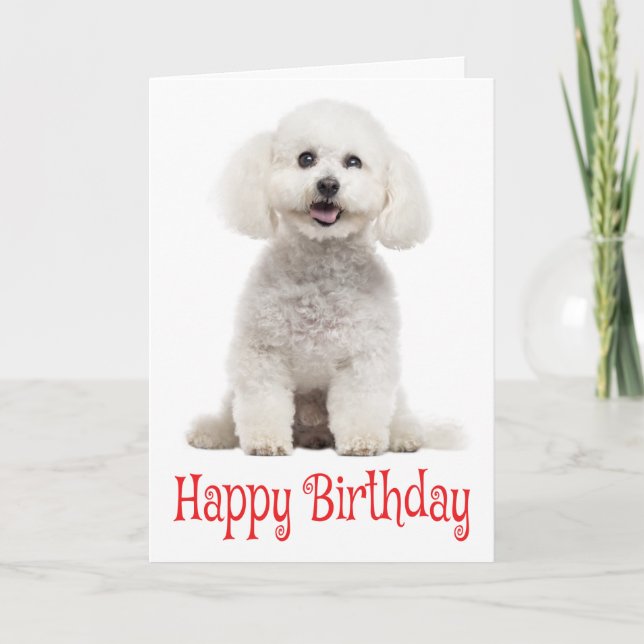 Tarjeta Amigo blanco de Bichon Perro de cachorro rojo feli (Anverso)