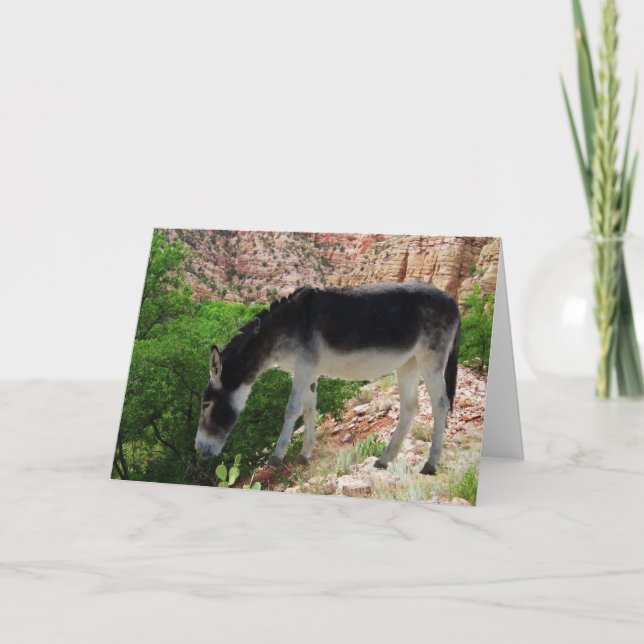 Tarjeta Amigo del alcohol animal del burro - espacio en (Anverso)