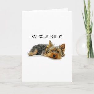 Tarjeta amigo yorkshire-terrier para acurrucarse
