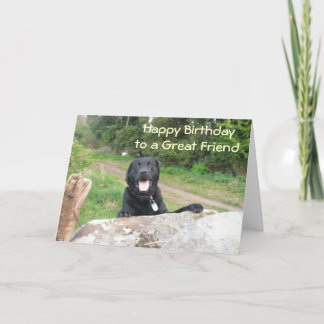 Tarjeta Amigos