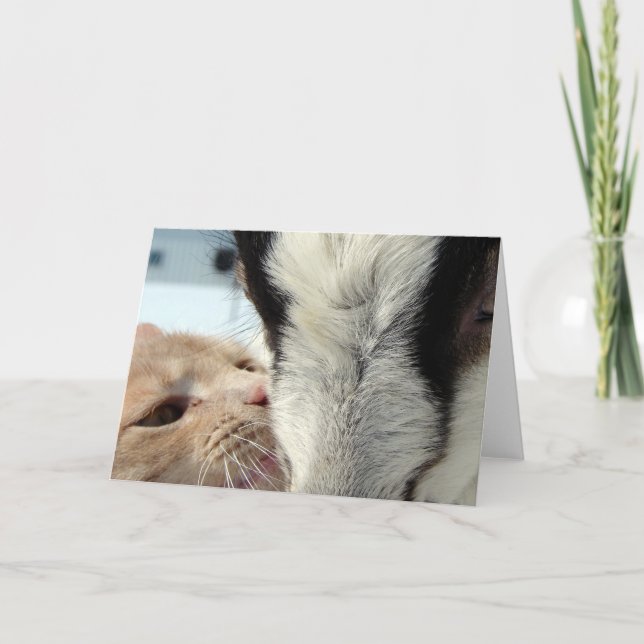 Tarjeta Amigos (Anverso)