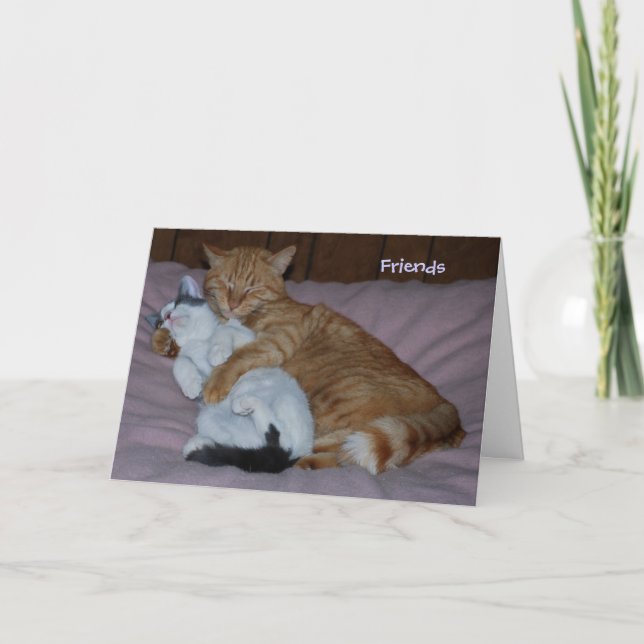 Tarjeta Amigos (Anverso)