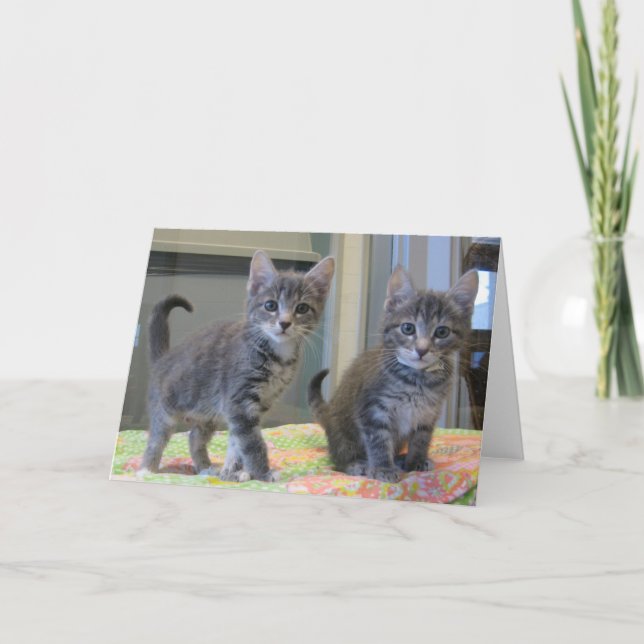 Tarjeta Amigos 099 (Anverso)