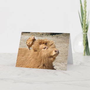 Tarjeta Amigos de Barnyard