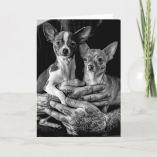 Tarjeta Amigos de Chihuahua