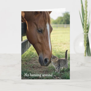 Tarjeta Amigos de cumpleaños Caballo con gatito atigrado