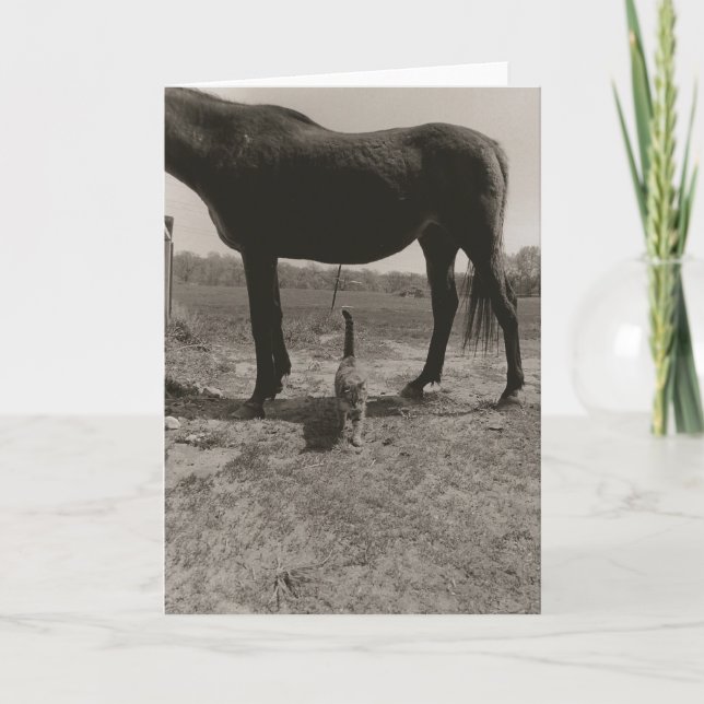 Tarjeta Amigos de la granja II (Anverso)