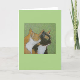 Tarjeta Amigos del gato