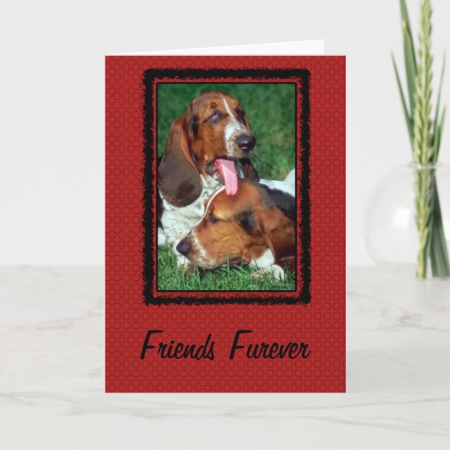 Tarjeta Amigos Furever [ Por siempre] (Anverso)
