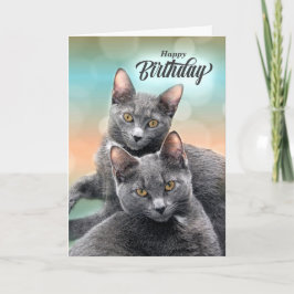 Tarjeta Amigos Gatos de cumpleaños para el amante del gato