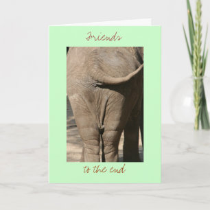Tarjeta Amigos hasta el final