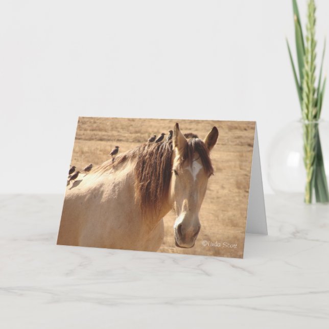 Tarjeta Amigos ©Linda Scott (Anverso)