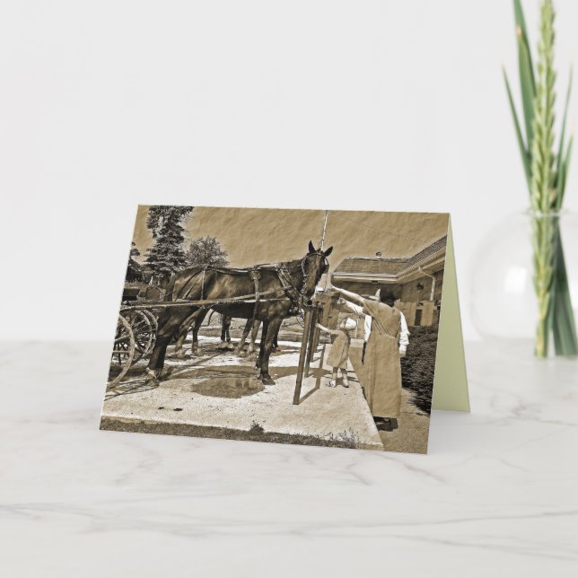 Tarjeta Amish Family Petting Horse Greaming Card (Anverso)