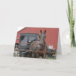 Tarjeta Amish Horse and Buggy