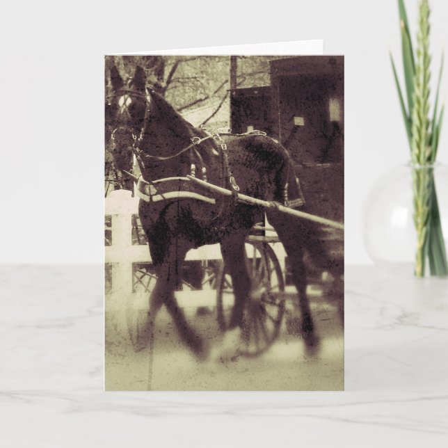 Tarjeta Amish Horse and Buggy Rural Iowa Photography (Anverso)