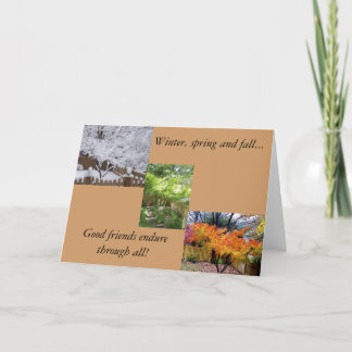 Tarjeta Amistad en todas las estaciones