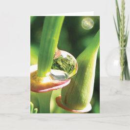 Tarjeta Amistad feliz, mágica, con la flor