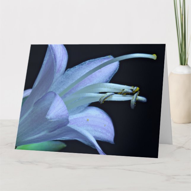 Tarjeta Amistad - Hermosa foto de flor macro Hosta (Anverso)