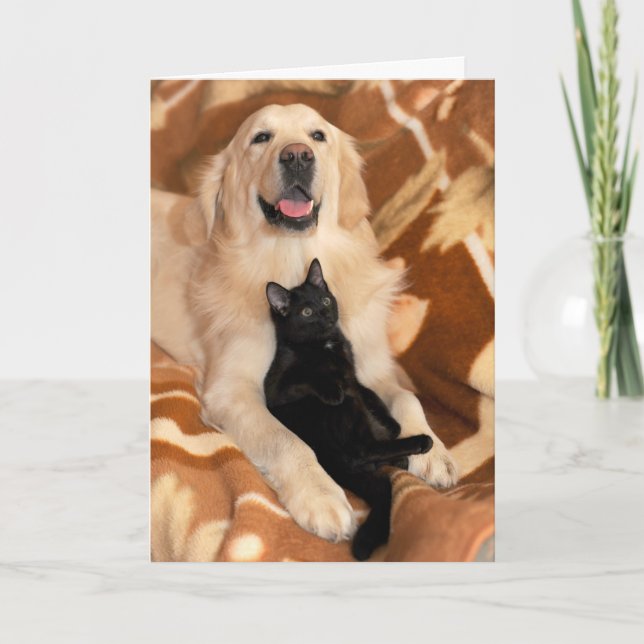 Tarjeta Amistad incondicional amigos perro y gato (Anverso)