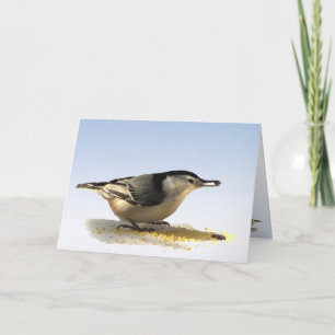 Tarjeta Amistad nuthatch con pechos blancos