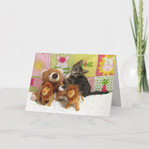 Tarjeta Amistad Tabby Kitty Greeting Card