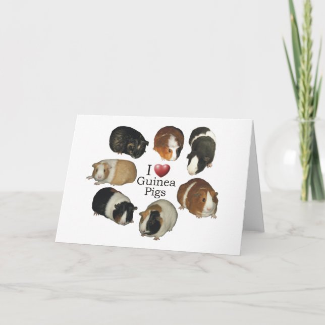 Tarjeta Amo a los cerdos de Guinea - NoteCard (Anverso)