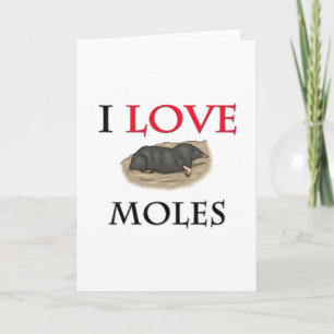Tarjeta Amo a los Moles