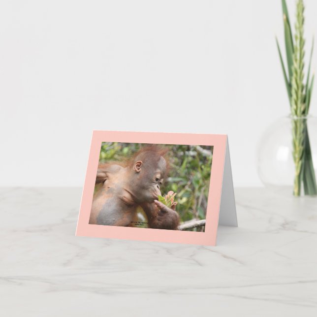 Tarjeta Amo a los Orangutanes (Anverso)