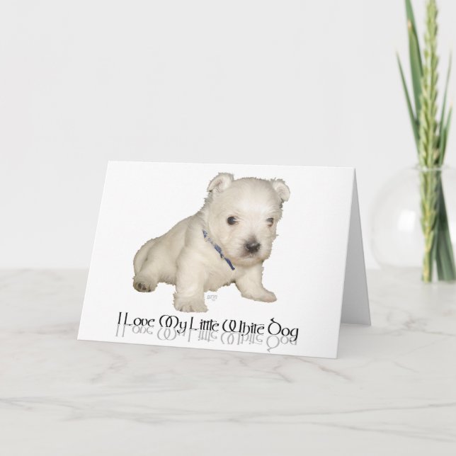 Tarjeta Amo a mi pequeño perro blanco - cachorro Westie (Anverso)