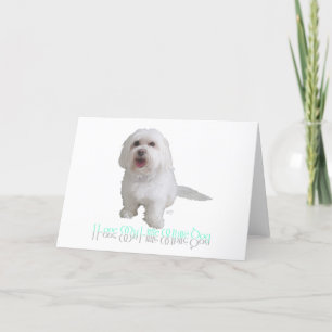 Tarjeta Amo a mi pequeño perro blanco - Havanés