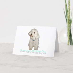 Tarjeta Amo a mi pequeño perro blanco - Havanese