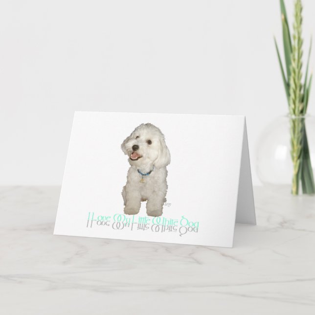 Tarjeta Amo a mi pequeño perro blanco - Havanese (Anverso)