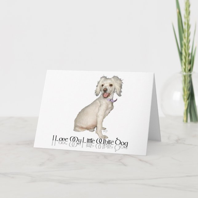 Tarjeta Amo a mi pequeño perro blanco - mezcla de Poodle / (Anverso)